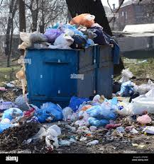 Professional Junk Removal Services in White Rock, NM